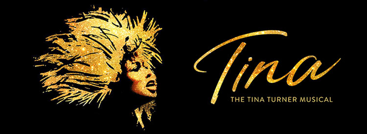 tina turner the musical reviews