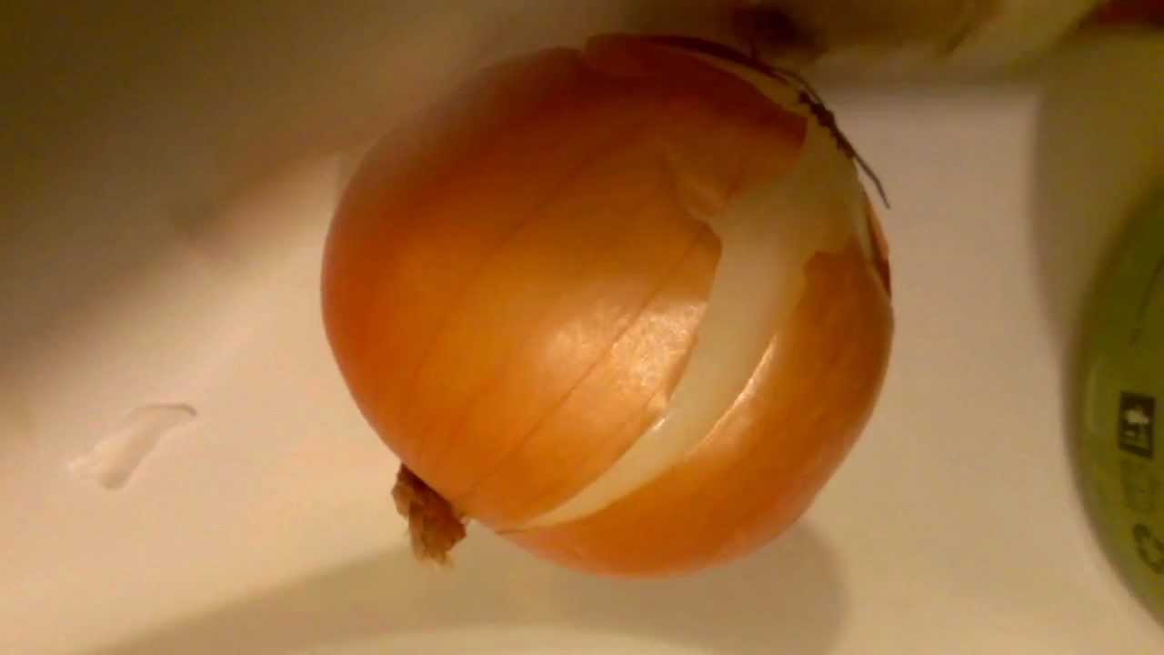onion and garlic for hair growth reviews